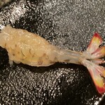 寿司正 - 車エビ レア