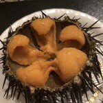 寿司正 - ガゼウニ