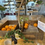 ウッドベリーズ - 