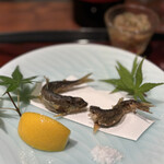 鉄板焼き いわ倉 - 