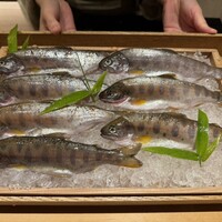 橦木町 しみず - 