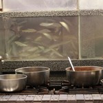 割烹 恵比寿 - 鮎が沢山。