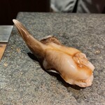 奥新 鮨屋のうおきん - 