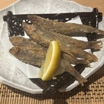 新潟・佐渡島 両津港直送 土風炉 - 