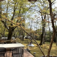 クレソン リバーサイド ストーリー 旧軽井沢 - 