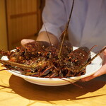 日本料理FUJI - 焼津の伊勢海老はつい先ほど神経〆されたもの。
