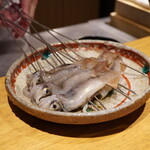 日本料理FUJI - まず登場したのはムギイカ。20cm以下のスルメイカの子供で、きっとこの時期だけの地元でしか出回らないものに心を踊らせる。