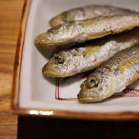 日本料理FUJI - 一口でもグッと伝わるしっかりとした強い旨み。 白子塩はたっぷりと纏わせても塩っぱすぎず、抜群の香りと仄かな塩気で豆アジを唯一無二のご馳走へと変える。