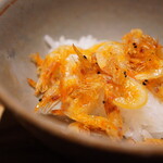 日本料理FUJI - 見た目以上にパリッとした桜えび。その抜群の芳ばしさがお米に映える！ めちゃくちゃ美味しい！！
