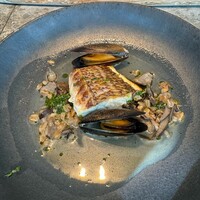 800°DEGREES ARTISAN PIZZERIA - 