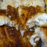 うなぎ しら澤 - うなぎの厚み