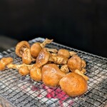 和ーるどおーだー 加寿喜 - 