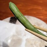 和ーるどおーだー 加寿喜 - 