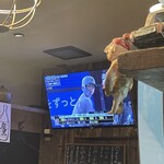 居酒屋 まさちゃん - 