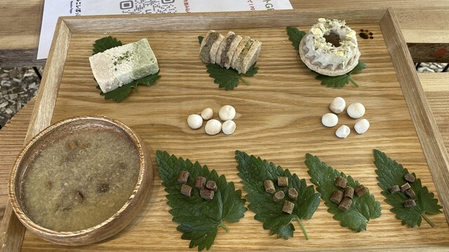 ハルニレポッポ - 緑が丘（カフェ）の写真