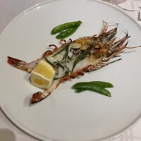 アクイラ・ウォランス - 
