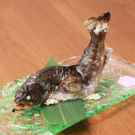 三茶 ユキツバキ - イワナ焼き