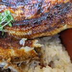 町田 うなぎ流木 - 二鰻羽織重