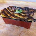 町田 うなぎ流木 - 二鰻羽織重