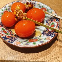 始祖鳥 - 