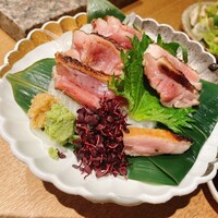 始祖鳥 - 