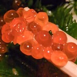 北国酒場 んだんだ - はらこ