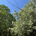 北大マルシェ Cafe&Labo - 