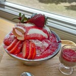 おれんじの樹 - 