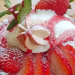 おれんじの樹 - 