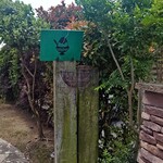 おれんじの樹 - 