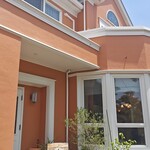 おれんじの樹 - 