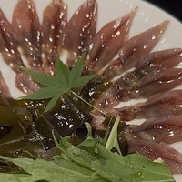 シーズン - 