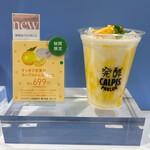 発酵 CALPIS PARLOR - 店頭にて