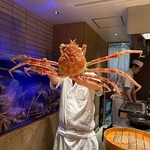 湘南沖地蟹専門店ふじ月 - タカアシガニ１