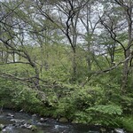 이즈미야 덴베에 - 