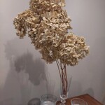 小さな菓子工房 ちょうのはね - 