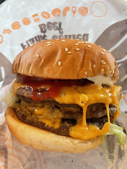 Burger King Kyotoyodobashiten