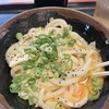 手打十段 うどんバカ一代