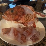 ザッツ - 鬼カサゴ！