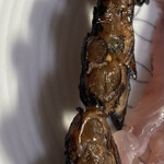 あさり屋さん  - 