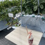 山本いちごファーム - 