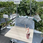 山本いちごファーム - 