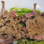 ラ・トォルトゥーガ - 