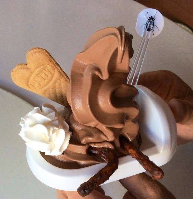 噂のク ソフトは 蠅付きです By 美味b級 ぺるーしぇ 甲斐大泉 アイスクリーム 食べログ