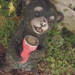 クオーレ ヴェルデ - 