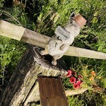 クオーレ ヴェルデ - 