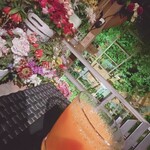 クオーレ ヴェルデ - 