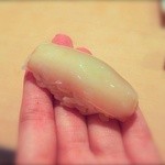 三谷 - 新イカ(お盆明けの赤ちゃん)