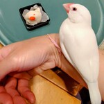 和菓子處 吉祥庵 - 