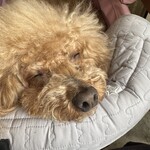 大衆食堂みゆき - 寝てる？ｗ